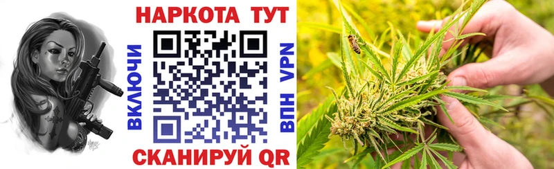 Наркотические вещества Бородино Гашиш Канабис Кокаин Alpha-PVP Меф мяу мяу