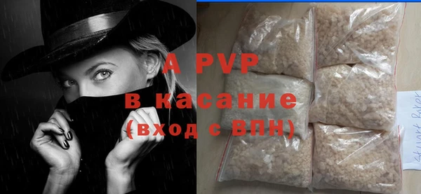 PSILOCYBIN Белокуриха
