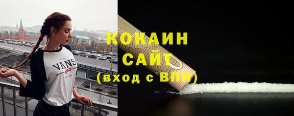 PSILOCYBIN Белокуриха