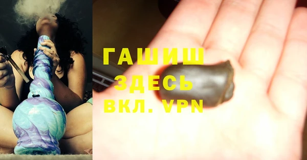 индика Беломорск