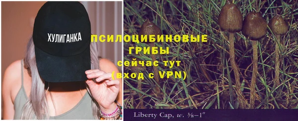 хмурый Белоозёрский