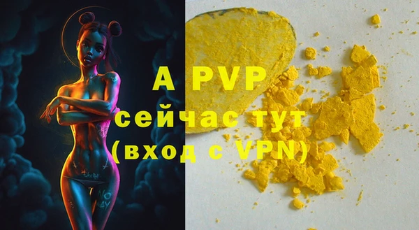 индика Беломорск