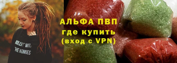 индика Беломорск