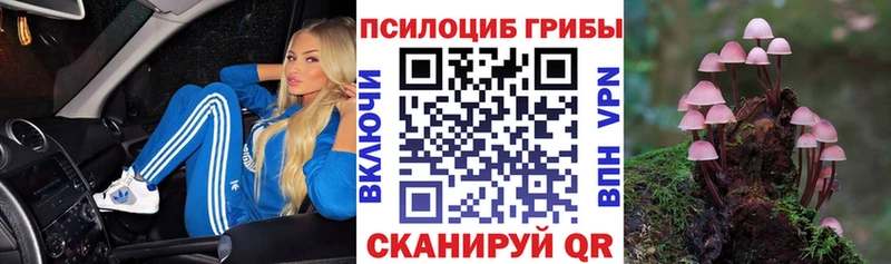 Псилоцибиновые грибы Psilocybe  hydra ТОР  Бородино 